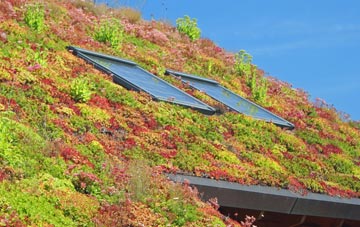 Backwell Common living roof systems